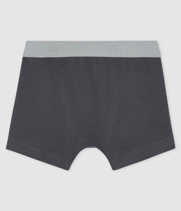 Boys' boxer shorts MAKI grey