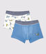 Boys' Panther Print Organic Cotton Boxer Shorts - 2-Pack