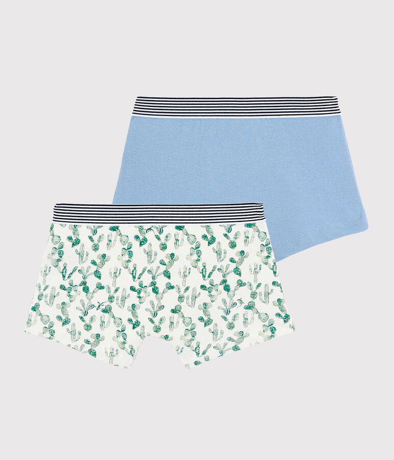 Boys' Cactus Print Cotton and Linen Blend Boxer Shorts - 2-Pack multicolor