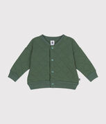 CROCO green