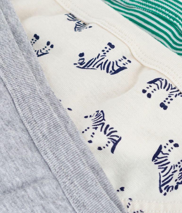 Pack of children's zebra print cotton briefs multicolor