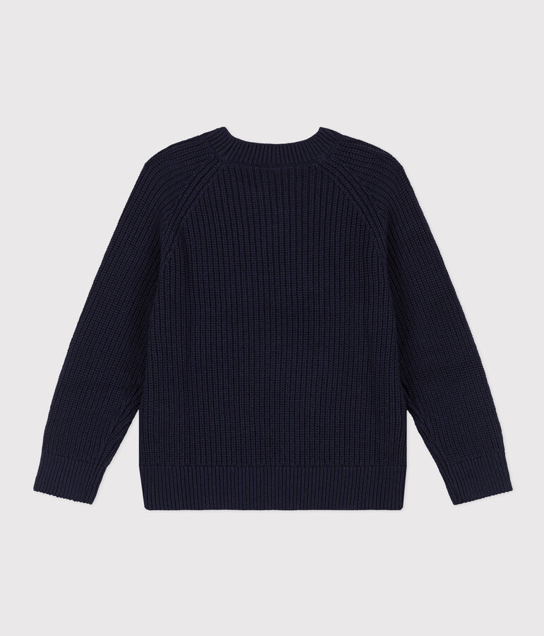 Boys' wool and cotton pullover blue