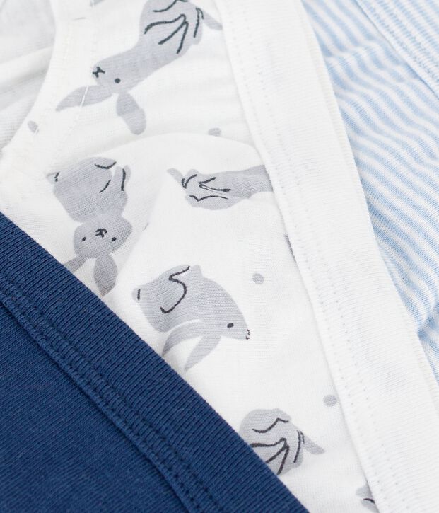 Lot de 3 slips en coton multicolor