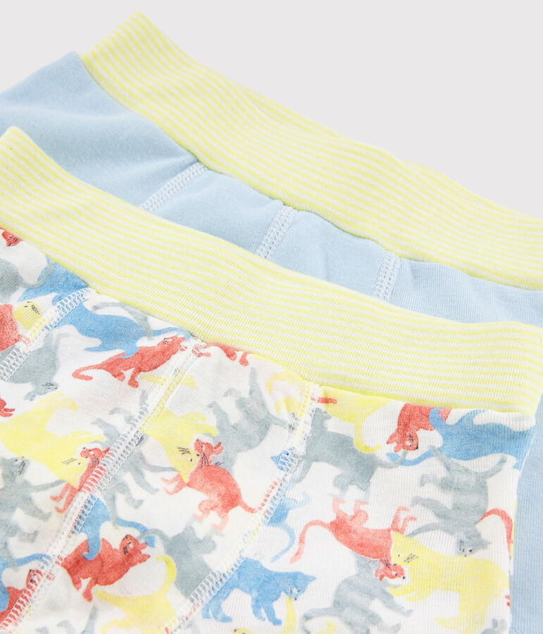 Boys' Cat Print Organic Cotton Boxer Shorts - 2-Pack multicolor