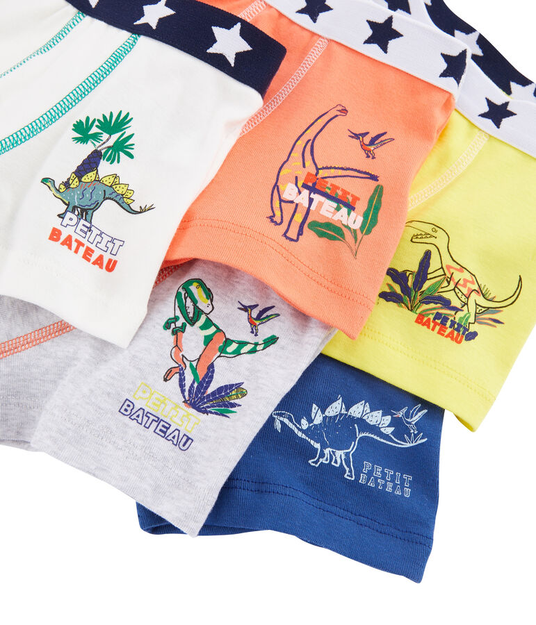 Boys' Boxer Shorts - 5-Piece Set multicolor