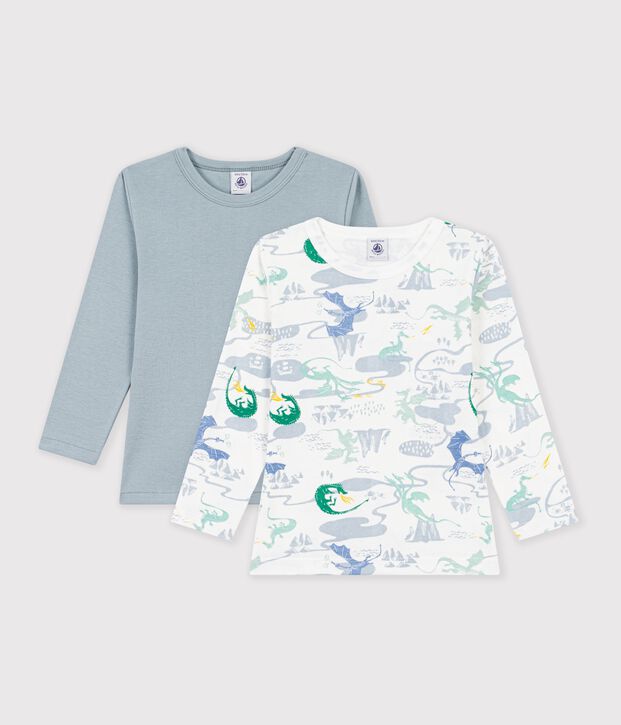 Pack of children's long-sleeved dragon print cotton T-shirts multicolor