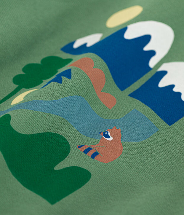 Boys' fleece sweatshirt green