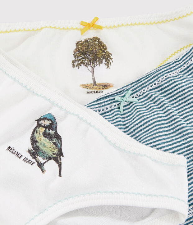 Petit Bateau x Deyrolle Girls' Briefs - 3-Piece Set multicolor
