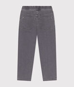 GRIS DELAVE grey