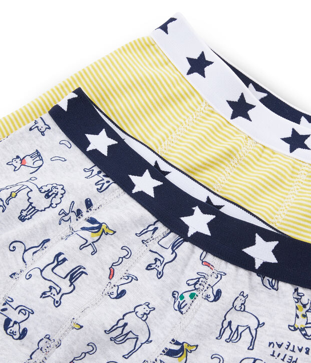 Boys' Boxer Shorts - 2-Piece Set multicolor