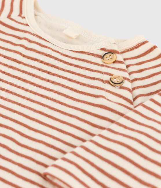 Stripy Cotton Tube Knit T-Shirt AVALANCHE white/CINA:AVALANCHE