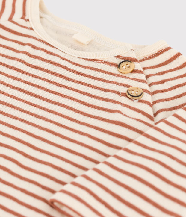 Stripy Cotton Tube Knit T-Shirt Ecru/brown/ecru