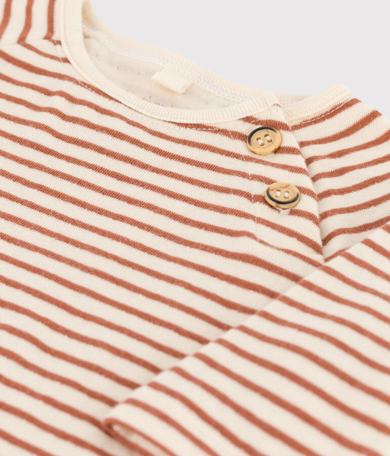 Stripy Cotton Tube Knit T-Shirt Ecru/brown/ecru
