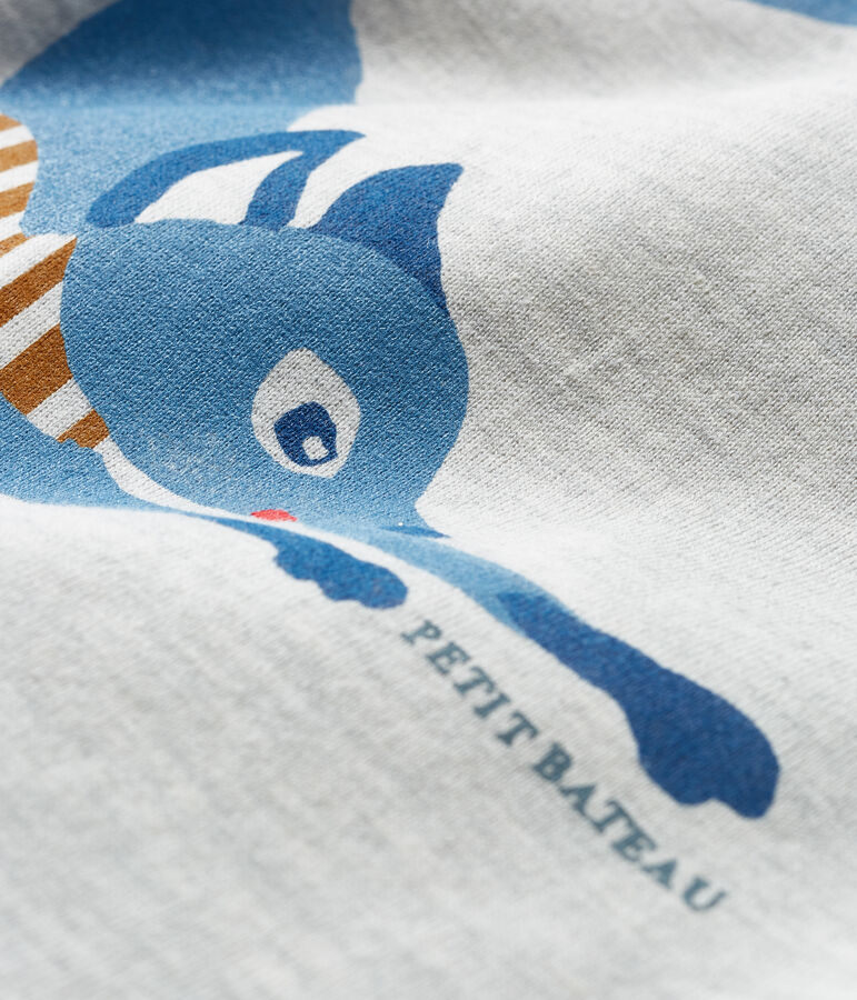 Baby Boys' Long-Sleeved T-Shirt grey