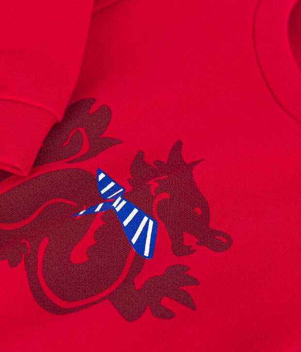 Boy's Fleece Sweatshirt red