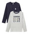 Boys' Plain and Screen Printed T-Shirts - 2-Piece Set variante 1