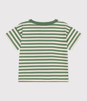 PALMERAIE green/AVALANCHE