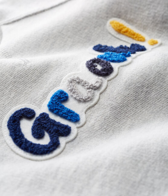 Baby Boys' Fleece Sweatshirt BELUGA CHINE CN grey