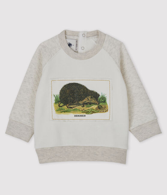 Baby Boys' Petit Bateau x Deyrolle Sweatshirt MARSHMALLOW white/MONTELIMAR
