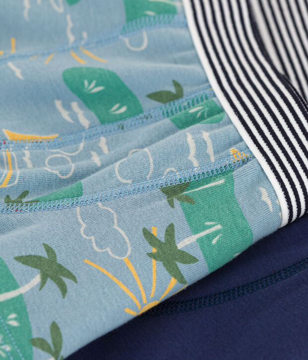 Boys' Cotton Explorer Boxer Shorts - Pack of 2 multicolor