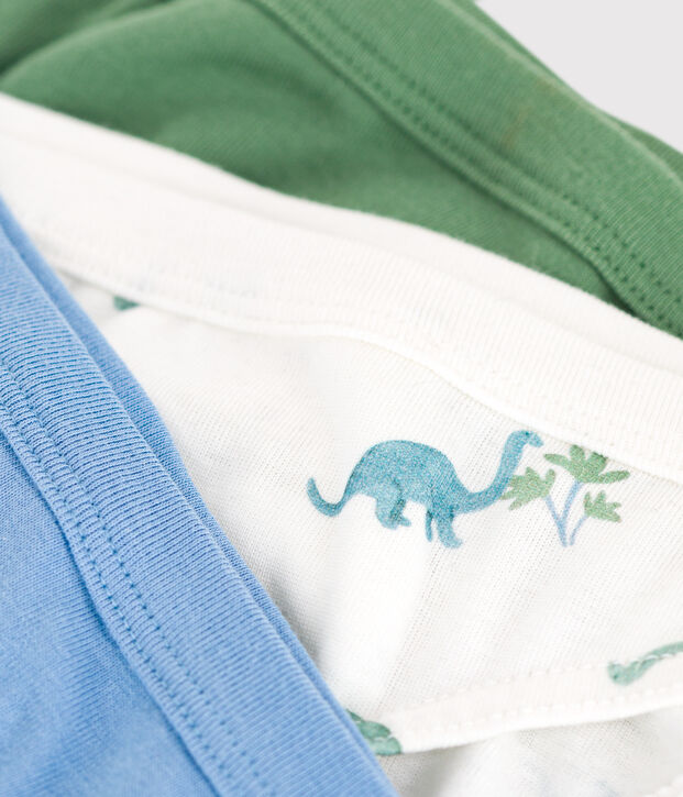 Children's dinosaur print cotton briefs - 3-Pack multicolor