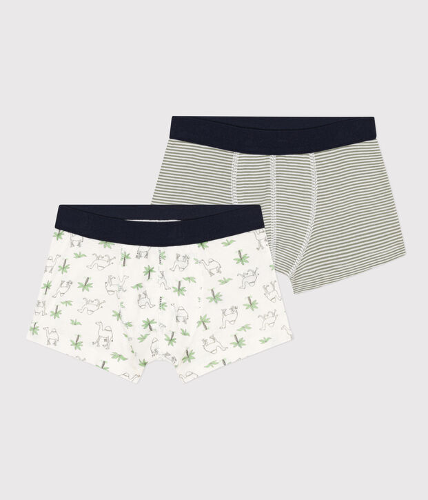 Boys' Cotton Camel Boxer Shorts - Pack of 2 multicolor