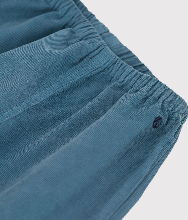 Babies' Fine Velour Trousers blue