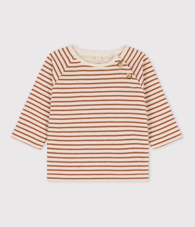 Stripy Cotton Tube Knit T-Shirt Ecru/brown/ecru