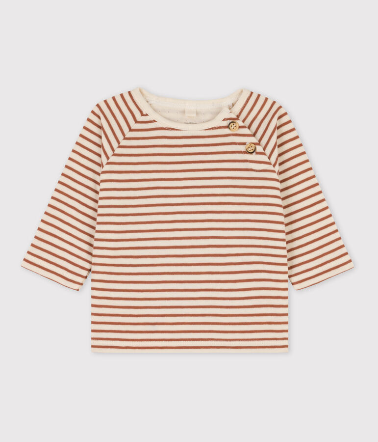 Stripy Cotton Tube Knit T-Shirt Ecru/brown/ecru