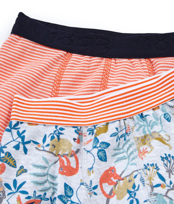 Boys' Boxer Shorts - Set of 2 variante 1