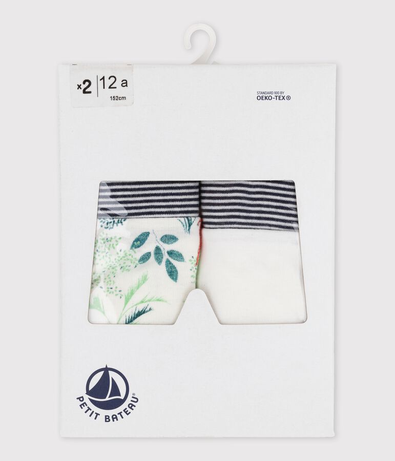 Boys' Boxer Shorts - 2-Piece Set multicolor