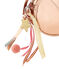 Girls' Bag COPPER