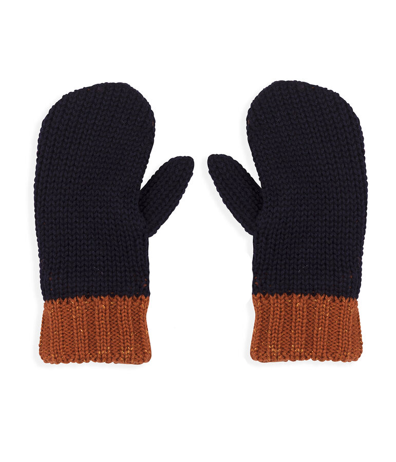 Boys' Mittens blue