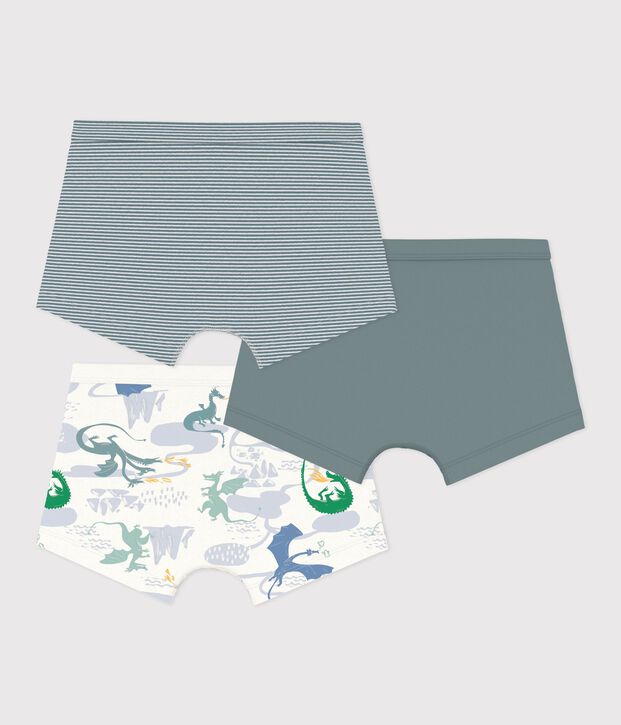 Pack of children's dragon print cotton boxers with covered waistbands multicolor
