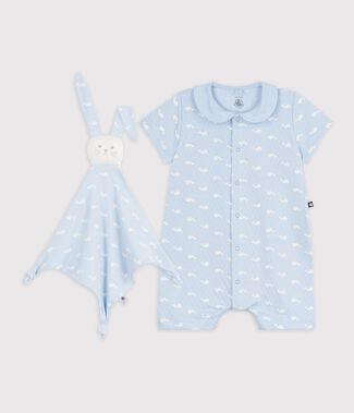 blue/white