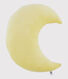 Velour Moon Cushion