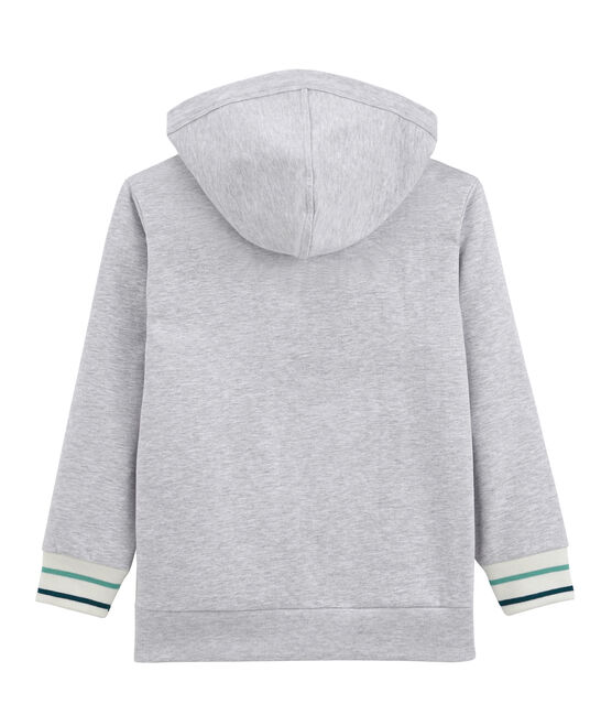 Boys' Hooded Sweatshirt POUSSIERE CHINE grey