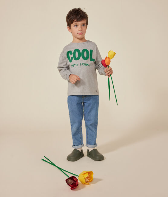 Little boys' long-sleeved T-shirt in fine jersey CHATON CHINE grey