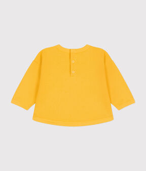 DAISY yellow