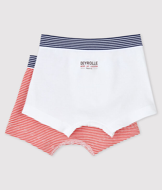 Petit Bateau x Deyrolle Boys' Boxer Shorts - 2-Piece Set multicolor