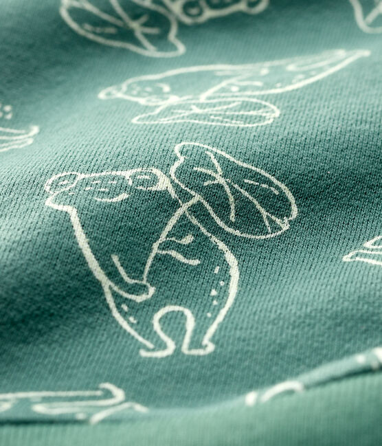 Baby Boys' Brushed Fleece Sweatshirt VALLEE green/VALLEE CLAIR