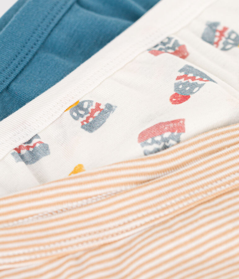 Boys' Hat Cotton Briefs - 3-Pack multicolor