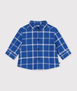 blue/ecru