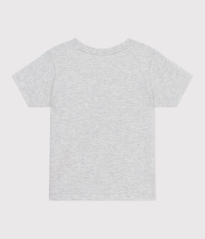 BELUGA CHINE grey