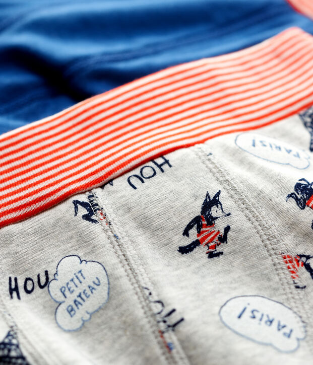 Boys' Paris Print Organic Cotton Boxer Shorts - 2-Pack multicolor