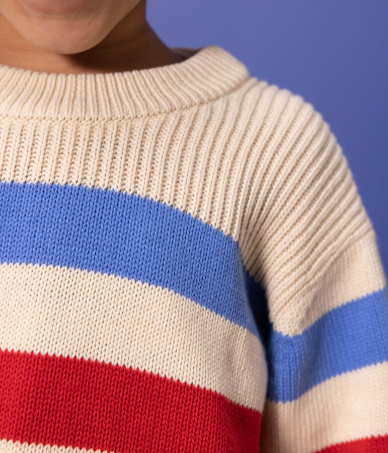 Children's Unisex Stripy Cotton Pullover AVALANCHE white/EDNA /PEPS