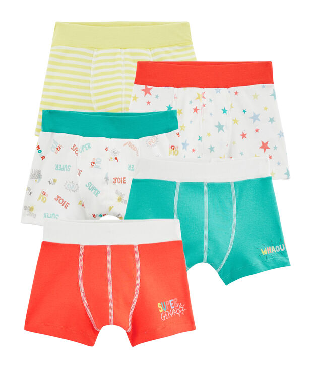 Boys' Boxer Shorts - 5-Piece Set multicolor