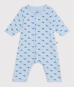 TOUDOU blue/ALASKA