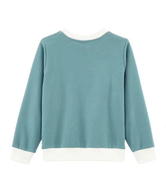 Boys Sweatshirt FONTAINE