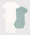 PACK OF 3 BABIES' SHORT-SLEEVED COTTON BODYSUITS variante 1